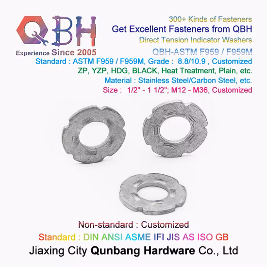 Qbh DIN125 DIN127 F436 F959 DIN6919 DIN934 DIN936 All Type Zp/Yzp/Bzp/Plain/Black/HDG/Dacromet/Geomet/Nickle Plated Washers