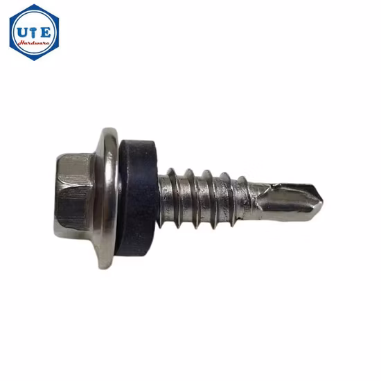 Stainless Steel Screws/Self Tapping Drilling Screw/Roofing Screw/Machine Screw/Hex Wood Timber Screw/Chipboard Drywall Screw /Hex Socket Set Grub Screws