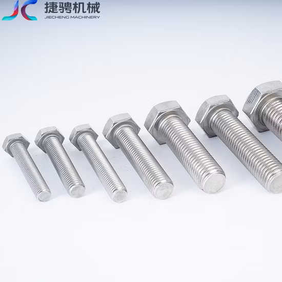 Stainless Steel Hex Bolt Nut