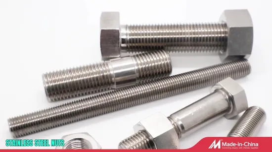 Stainless Steel 304 316 Flange Bolt/Carriage Bolt/Square Bolt/Through Bolt/Wedge Anchor